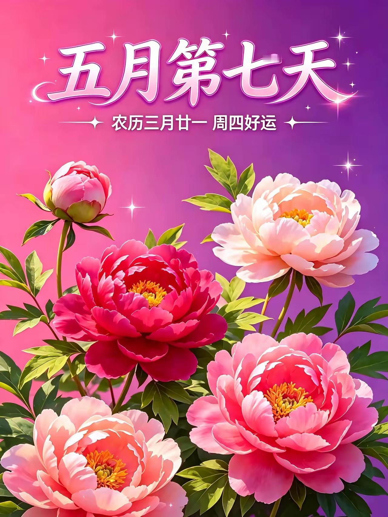 5.7日[玫瑰][福]上午好[招财进宝][祈祷]
走在自己的步调里，从容且坦荡，