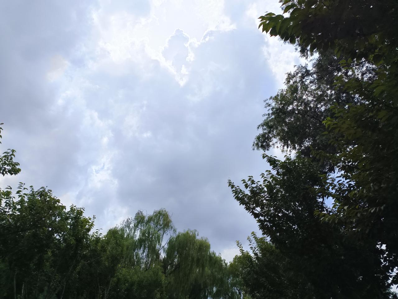 今日宅家。
有时候，一大早睁开眼，想到的是：我居然又活了一天。
天空还是那么辽阔