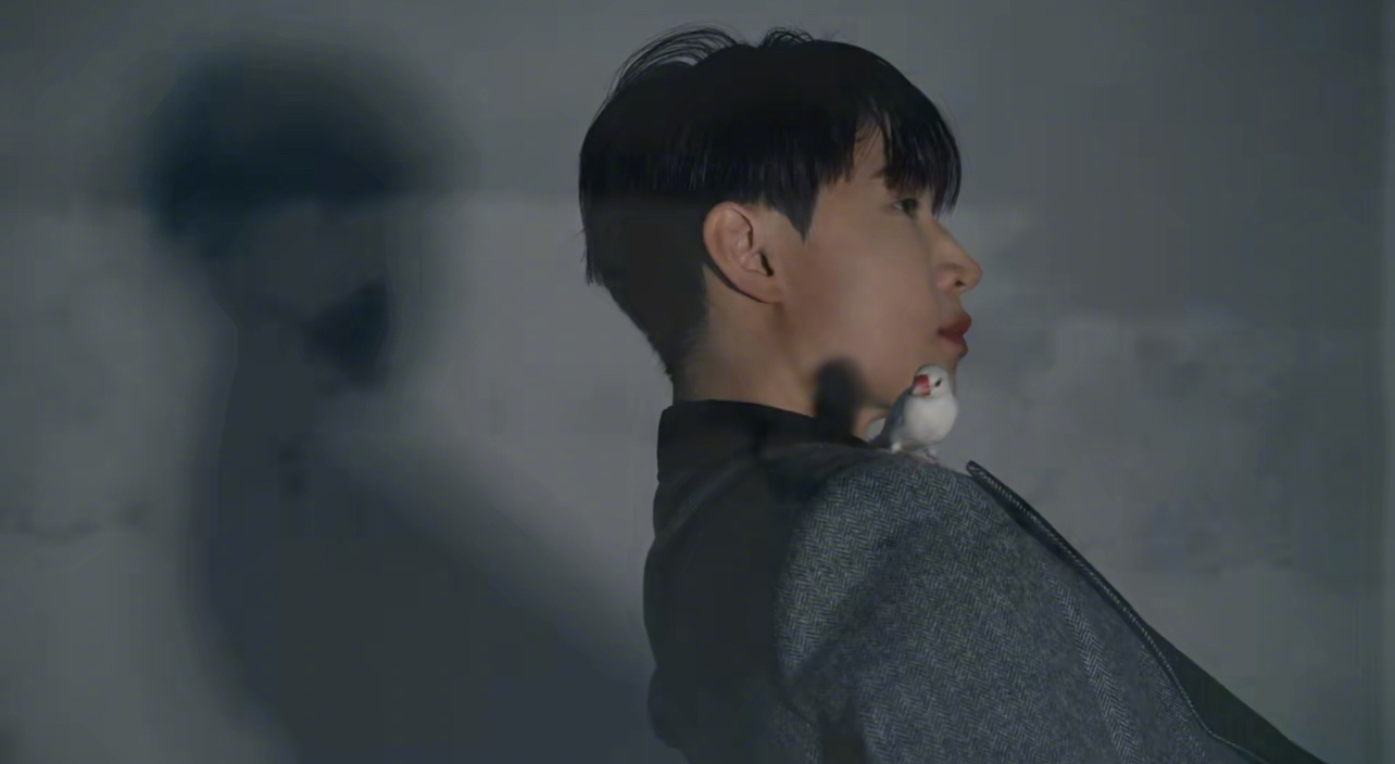 刘宪华肩膀上有只鹦鹉 最新造型，肩膀上停着一只鹦鹉，好温馨的画面 