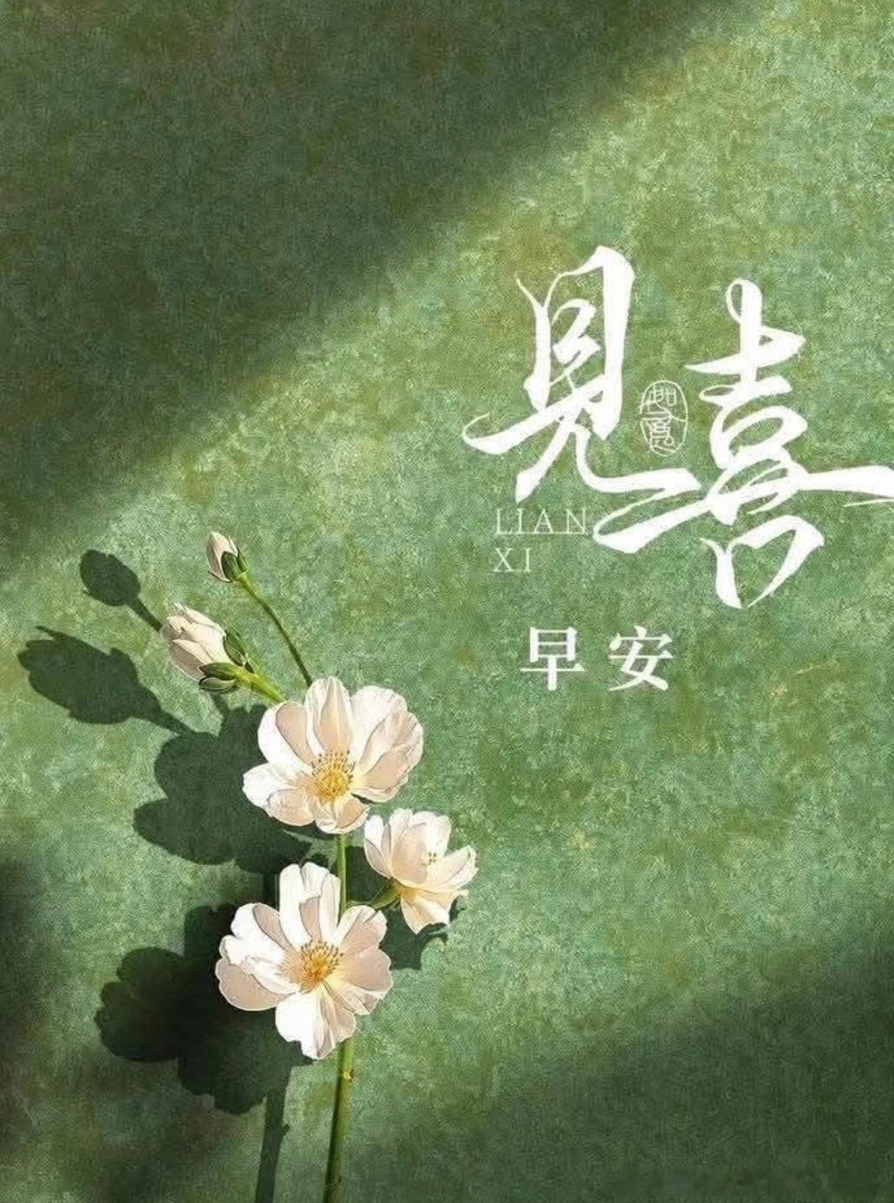 早安朋友们！黄金外汇早安财金汇眼k线王-唐总