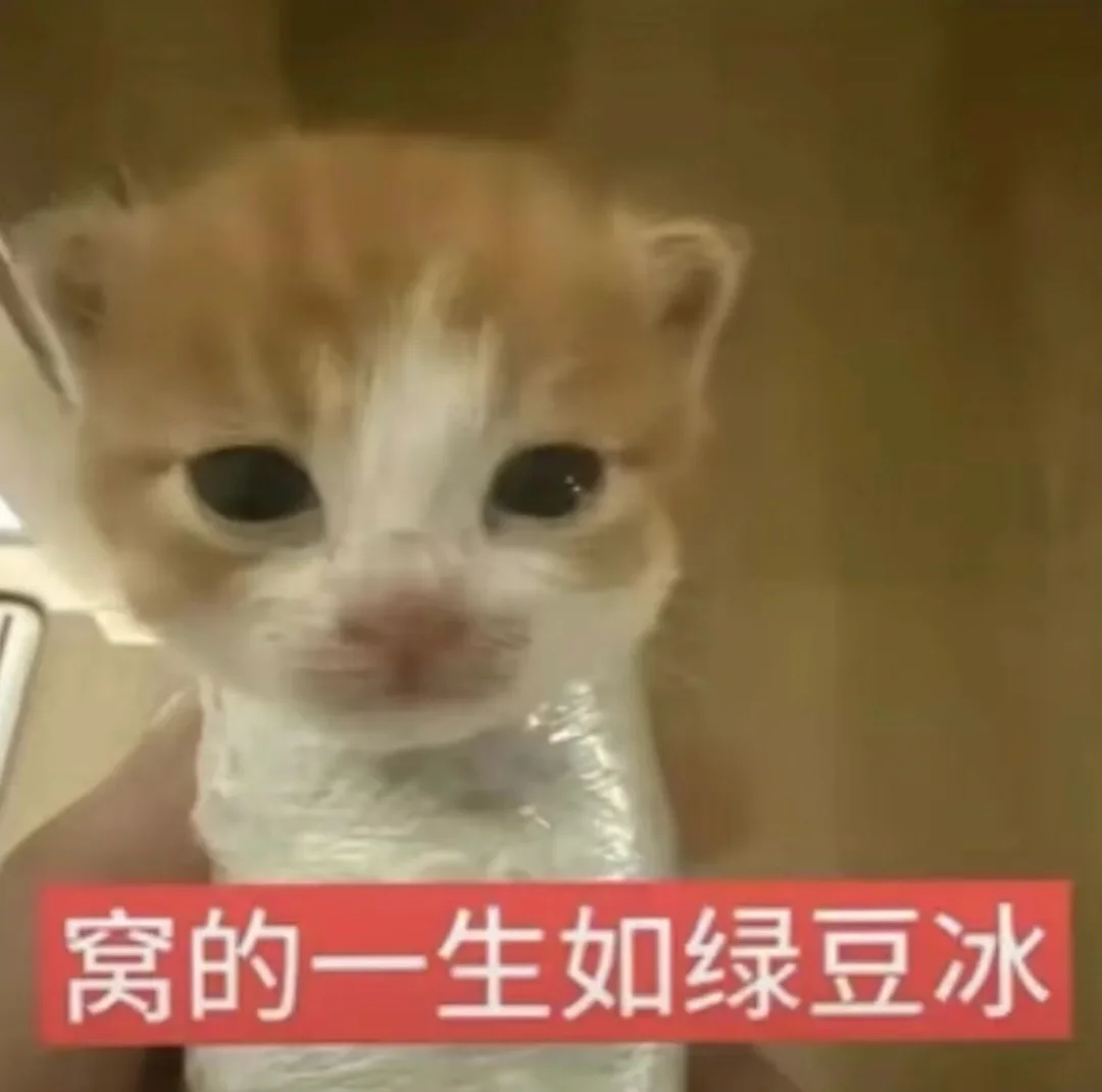 狂刷实习是就业困境的唯一出路