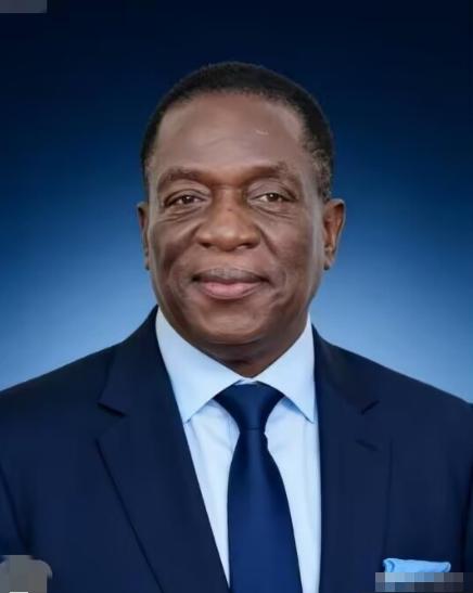 前脚巴拿马不顾中方反对，强行接管了巴拿马港口，后脚津巴布韦突然宣布暂停锂矿出口。