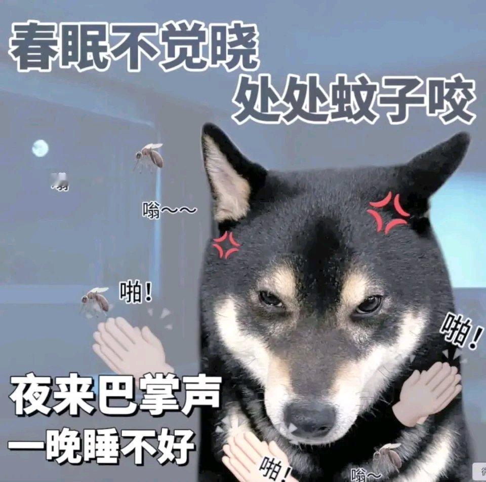深圳这事儿太逗了！一女子夜跑被蚊子“群攻”，喜提30多个“大红包”。人家反手就通