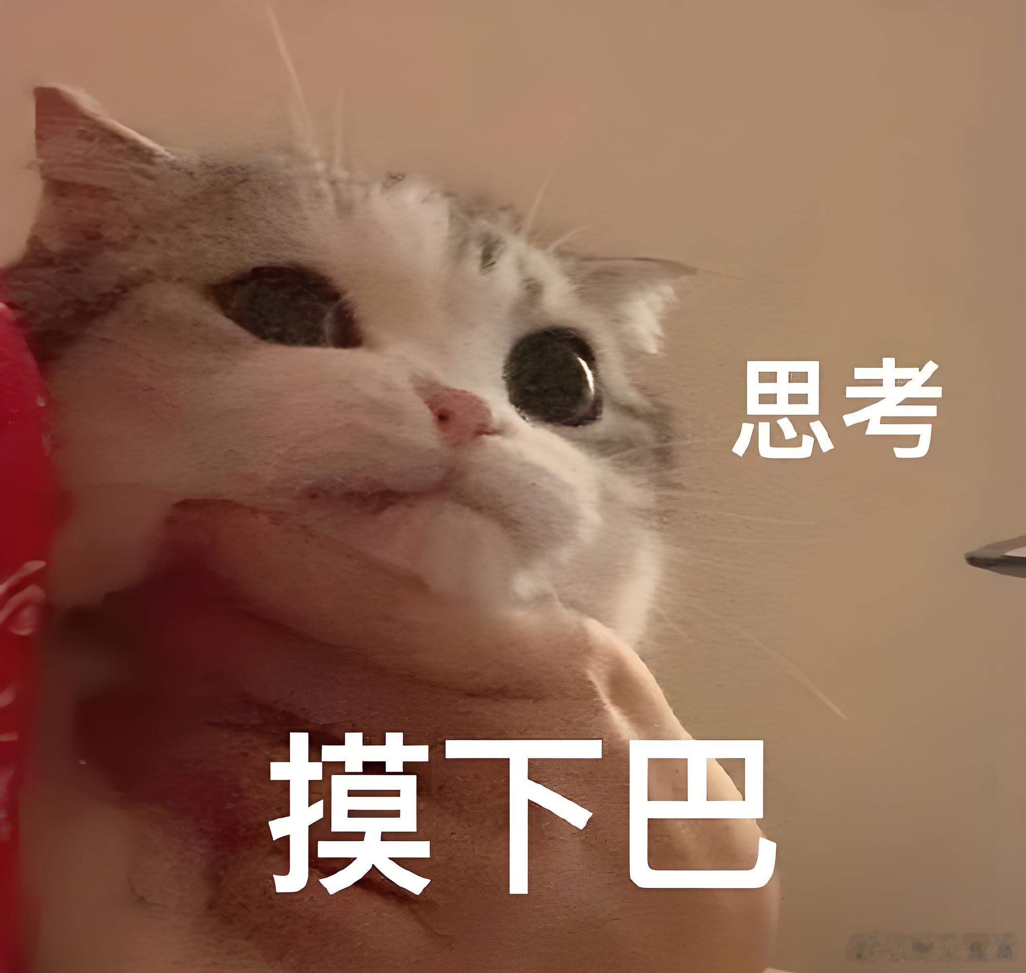 星番夜liao 6月暑期档正式开启🔛，《主角》《家业》《雨霖铃》等剧正在热播，