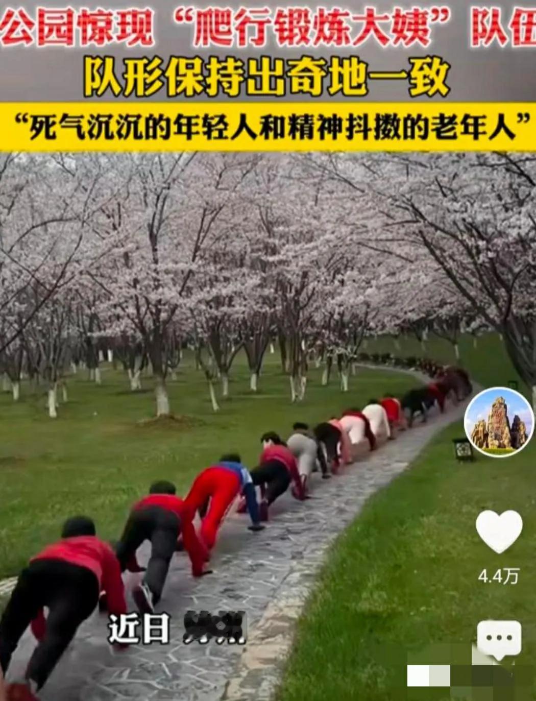 是人类退化了，还有这些大妈实在是闲的没事干了！
刚刷到一个视频，苏州一公园出现一