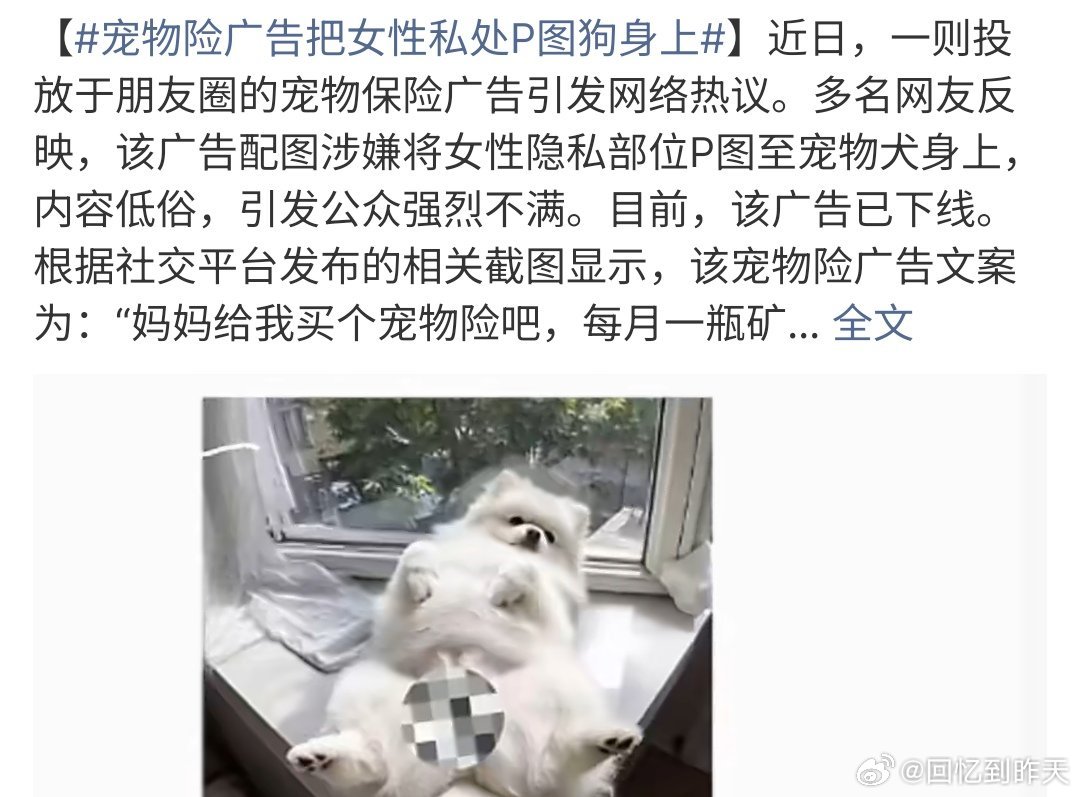 宠物险广告把女性私处P图狗身上一个宠物广告竟然干如此愚蠢的事，这个平台应该被处罚