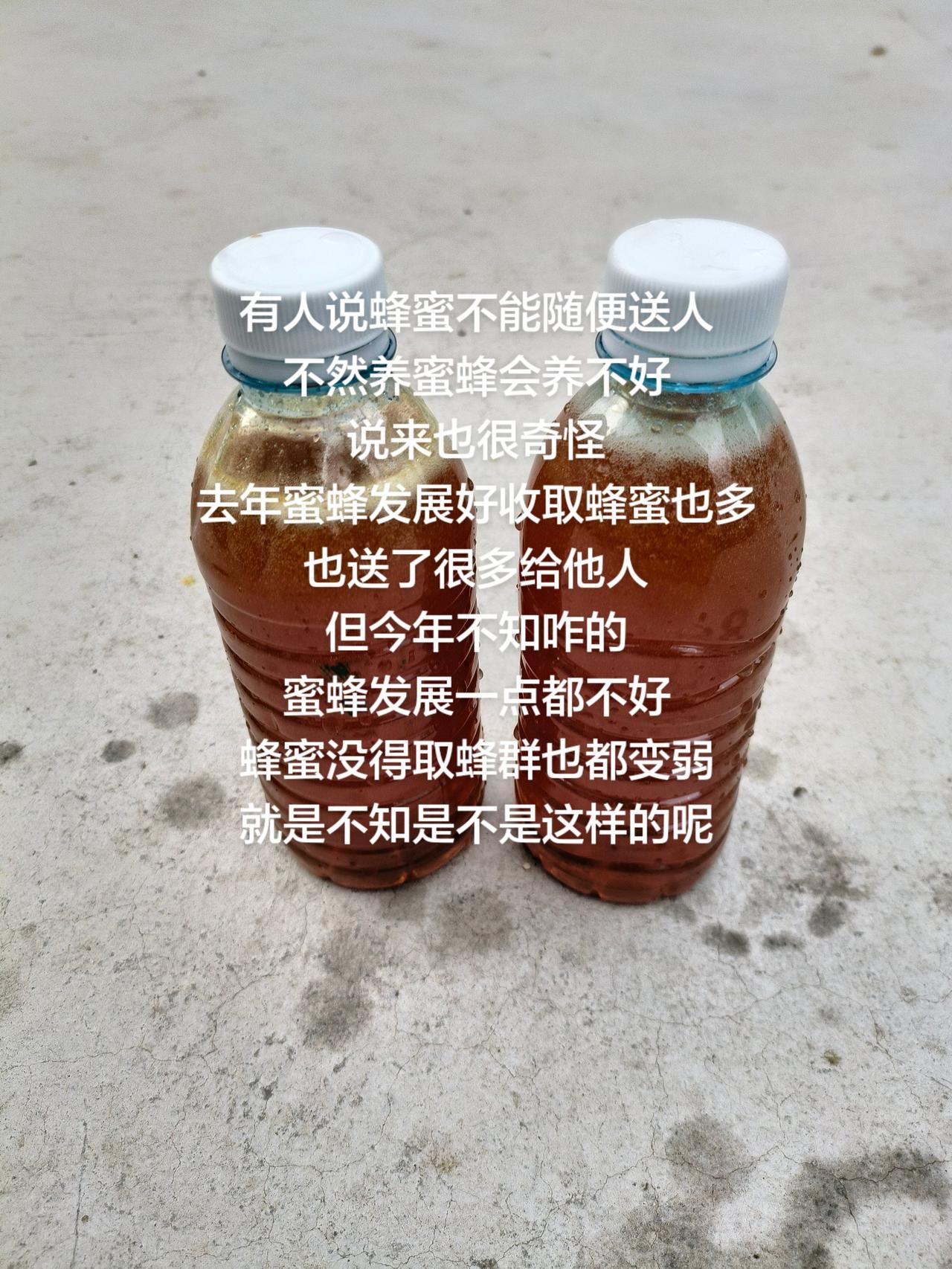 有人说蜂蜜不能随便送人
不然养蜜蜂会养不好
说来也很奇怪
去年蜜蜂发展好收取蜂蜜