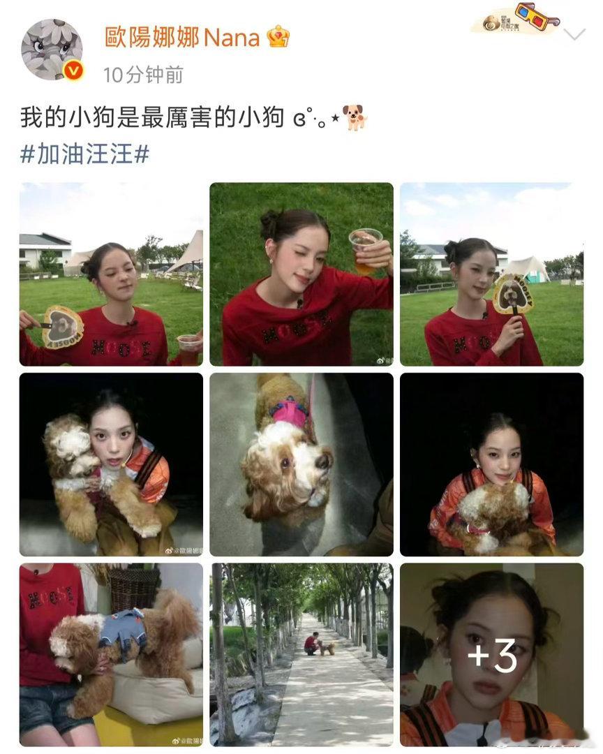 欧阳娜娜把自己小狗的名字穿身上欧阳娜娜上综艺把狗狗名字印衣服欧阳娜娜真的好宠Mo