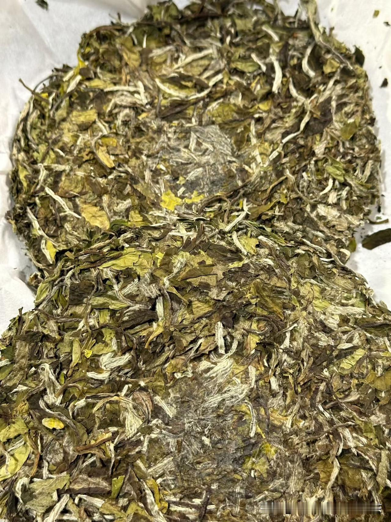 厂里最好喝的新茶牡丹饼
2024花香牡丹饼哦