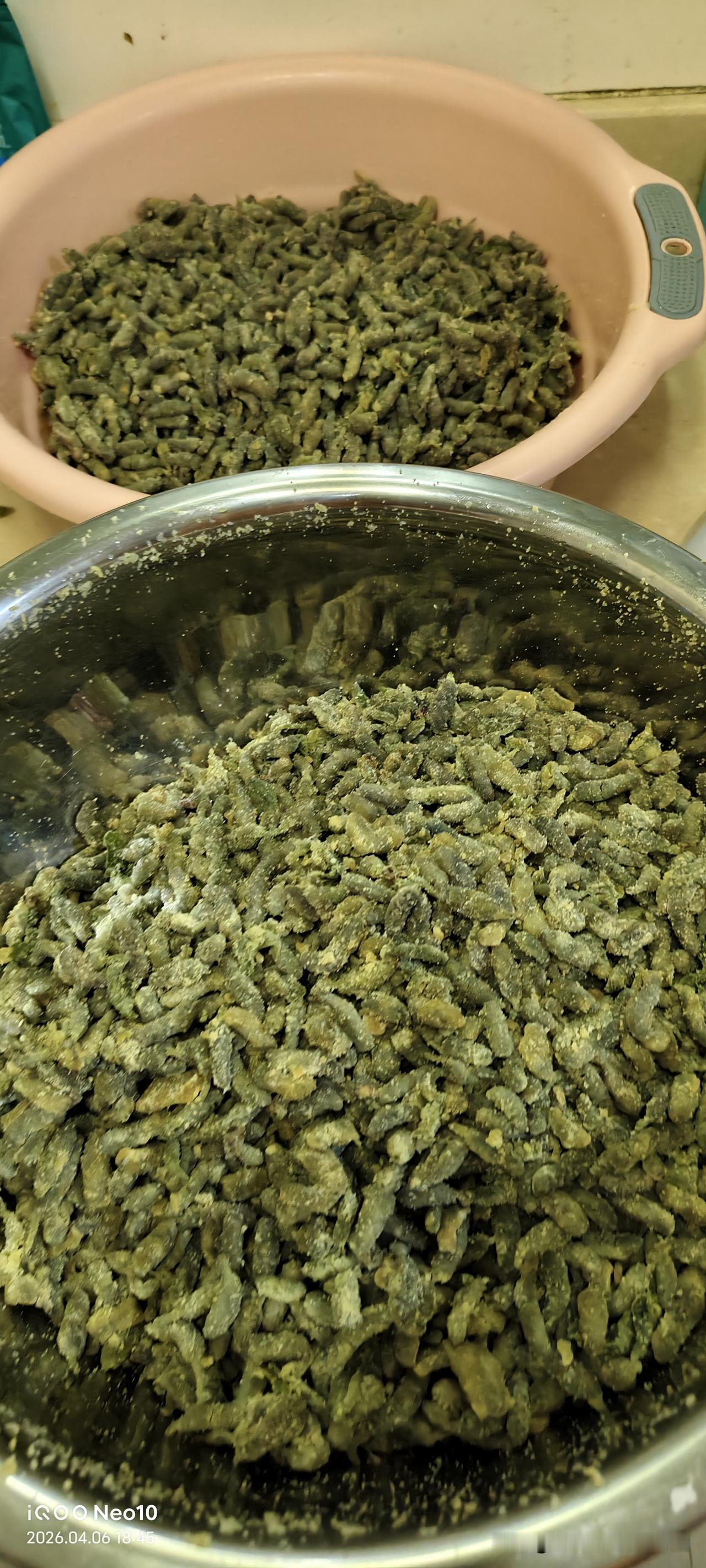 我们医院里有两个女推轮椅的，和我一块儿去摘枸树穗的女推轮椅的和那个一说，他也去河