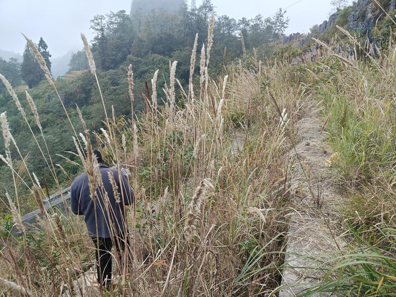 只有感情，没有钱的婚姻能继续吗