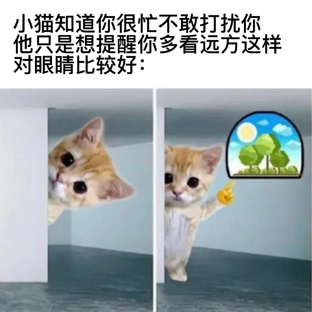 谢谢毛毛#今日memes# //#今日快乐今日发# ​​​
