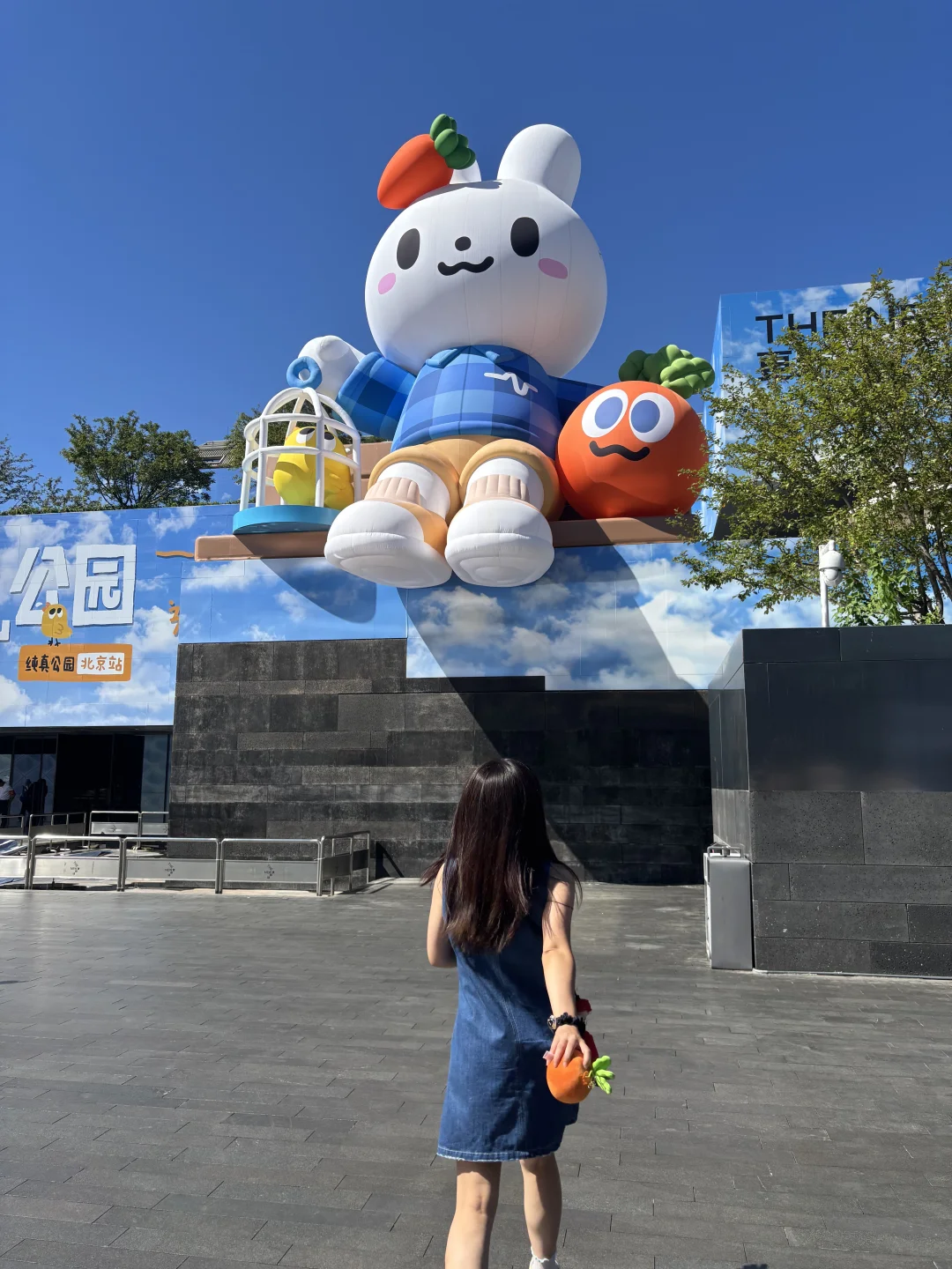 stay real park 透卡