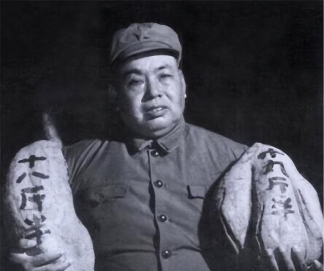 1979年2月17日，中国对越发起自卫反击战。起因是越南在苏联支持下背弃中国多年