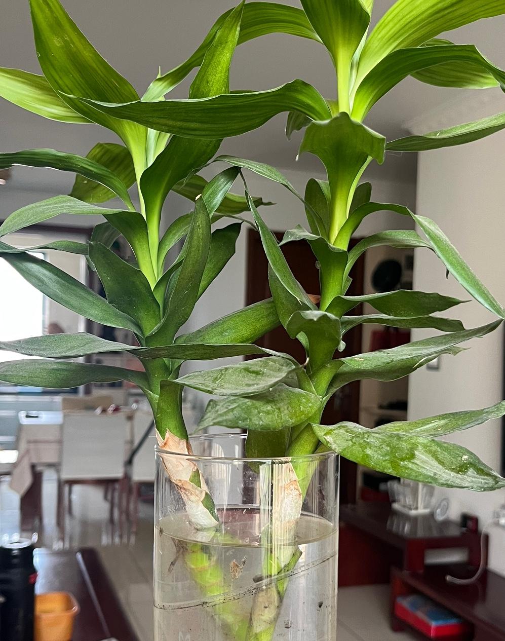 一眨眼已经到了50多岁，可是在自己的心里脑子里根本不是这个岁数，好像自己还是十几