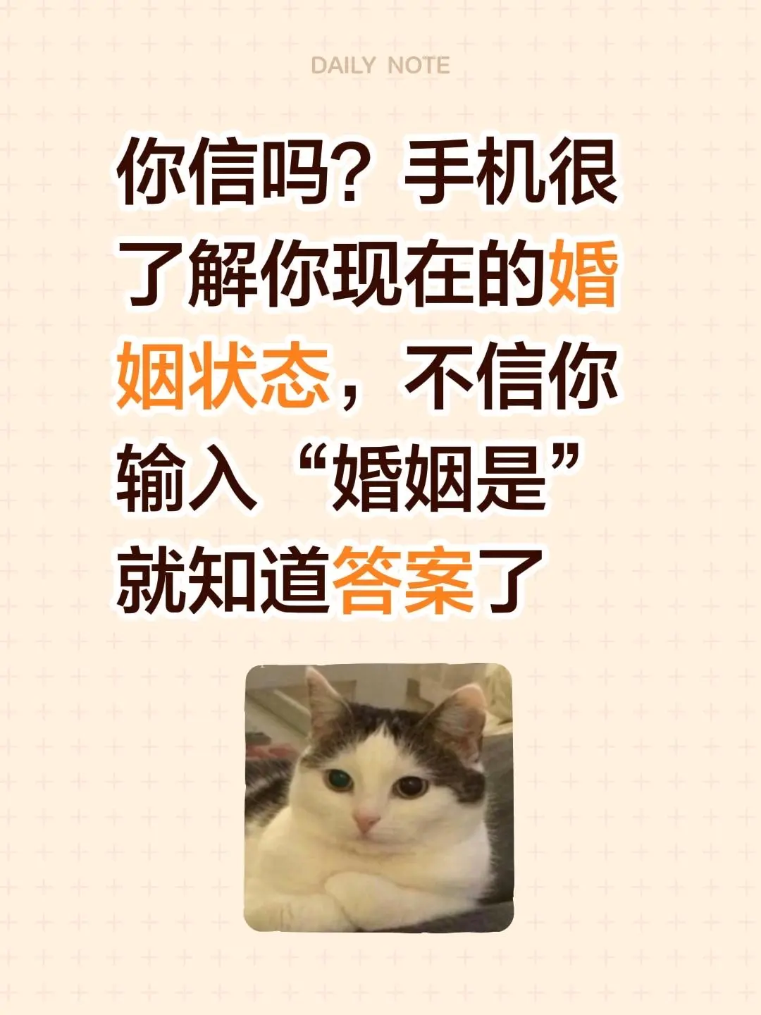 你信吗？手机很了解你现在的婚姻状态，不信你输入“婚姻是”就知道答案了