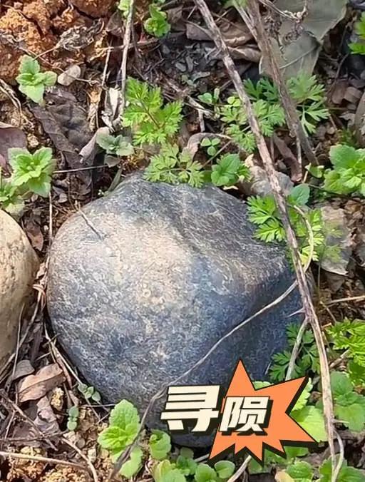 奇石异星，寻石猎陨。陨石爱好者 户外捡石