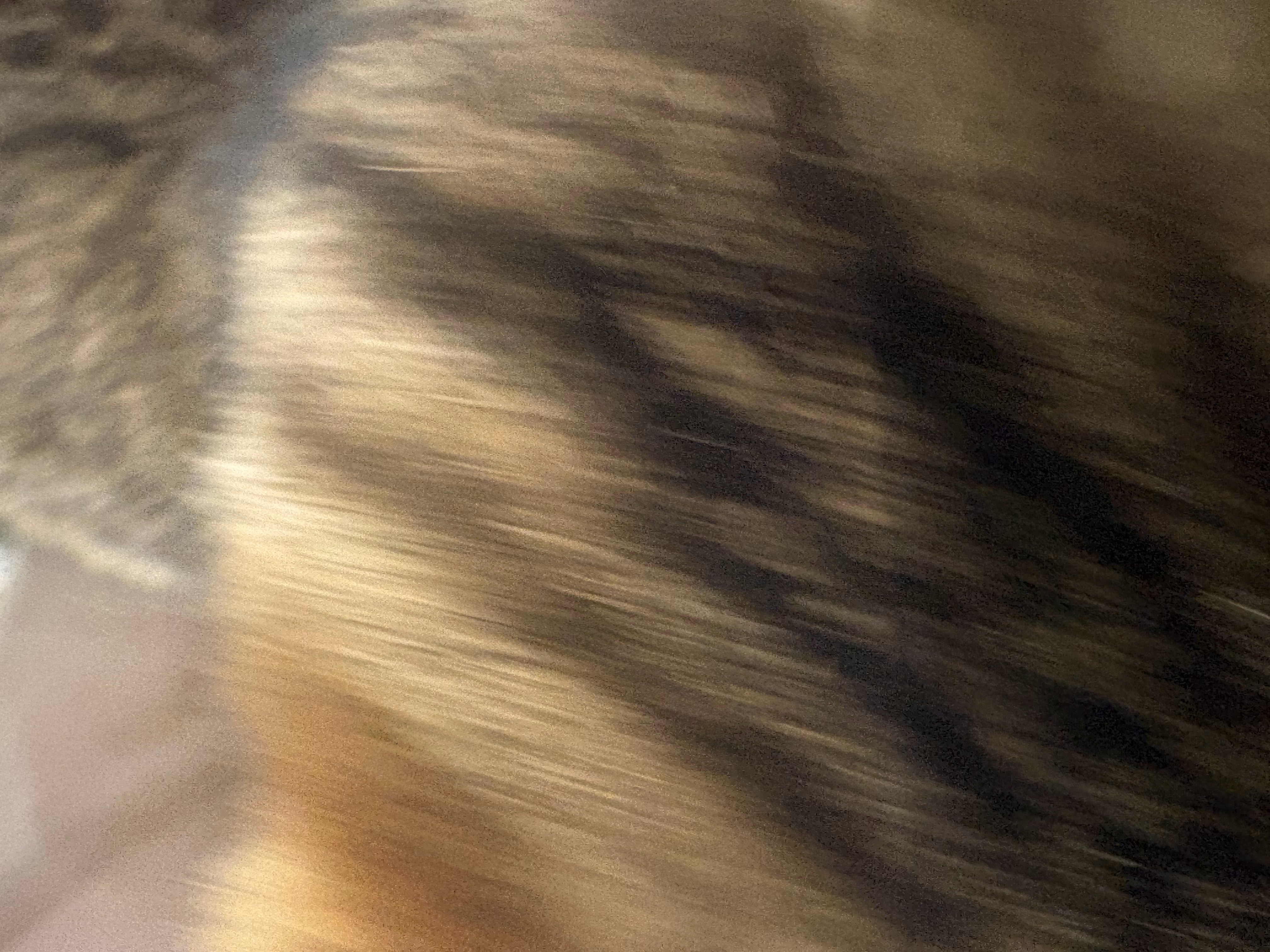 分享一只小猫 不是喵