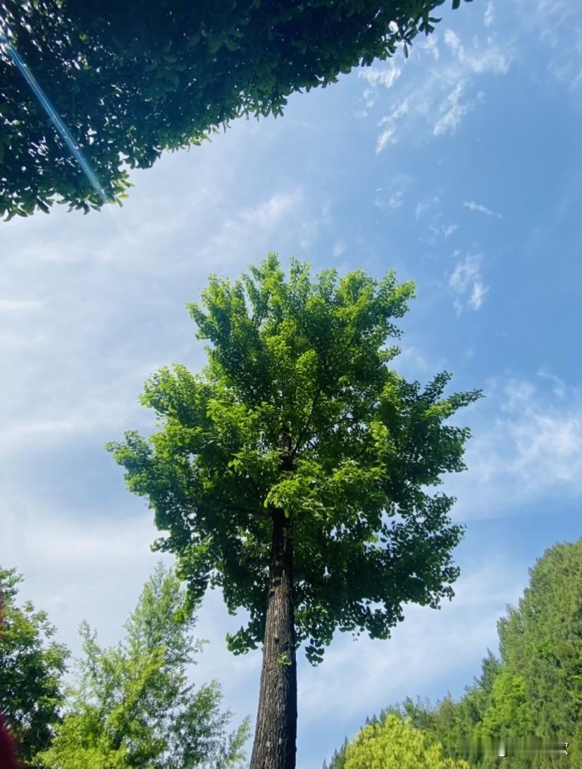 昨天再一次在相册里走过一趟春天，春日盛开的花朵无论什么时候相见，都能让人心生愉悦