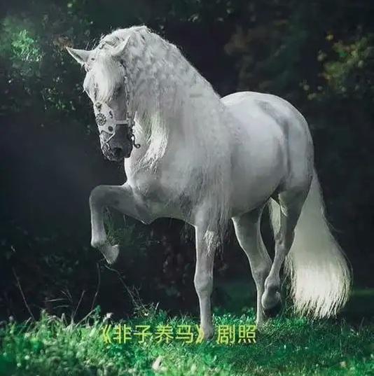 我认为不支持。中国人的男女分工是男主外，女主内。男行阳刚自强不息，女行坤德厚德载