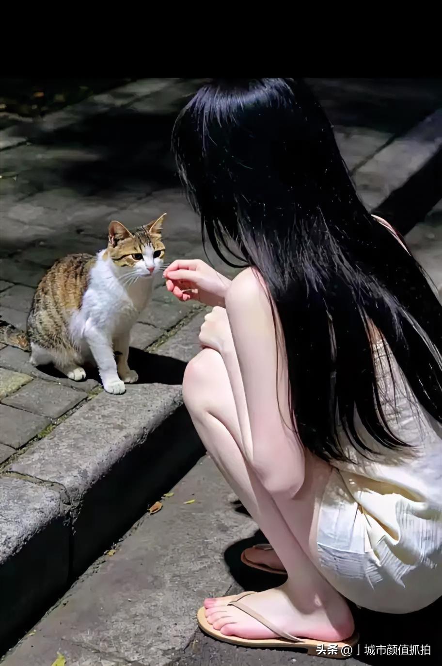 夜里路过台阶，她蹲下来伸手，那只三花猫没跑，反倒站定了，歪着头看她，还抬起一只爪