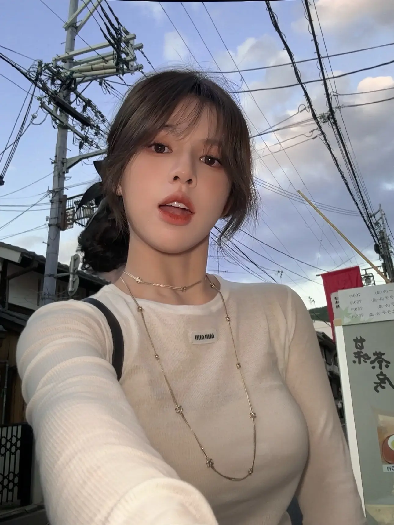亮晶晶的˵^•𖥦•^˵