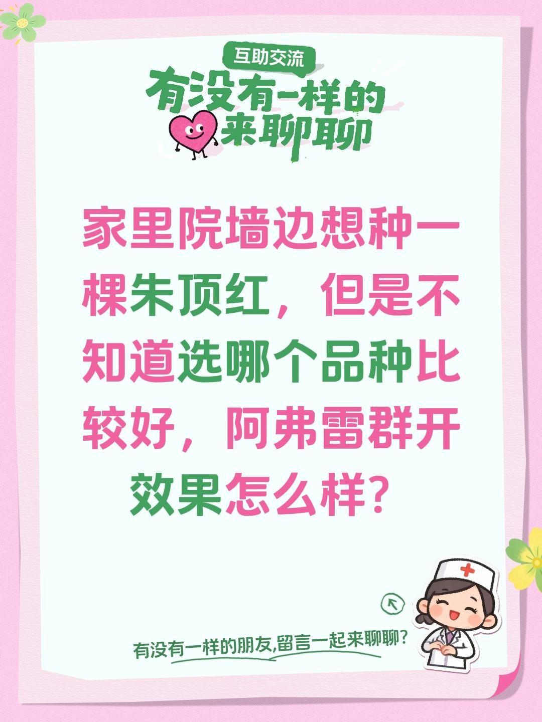 阿弗雷群开效果怎么样？家里院墙边想种一棵朱顶红，但是不知道选哪个品种比较好，阿弗