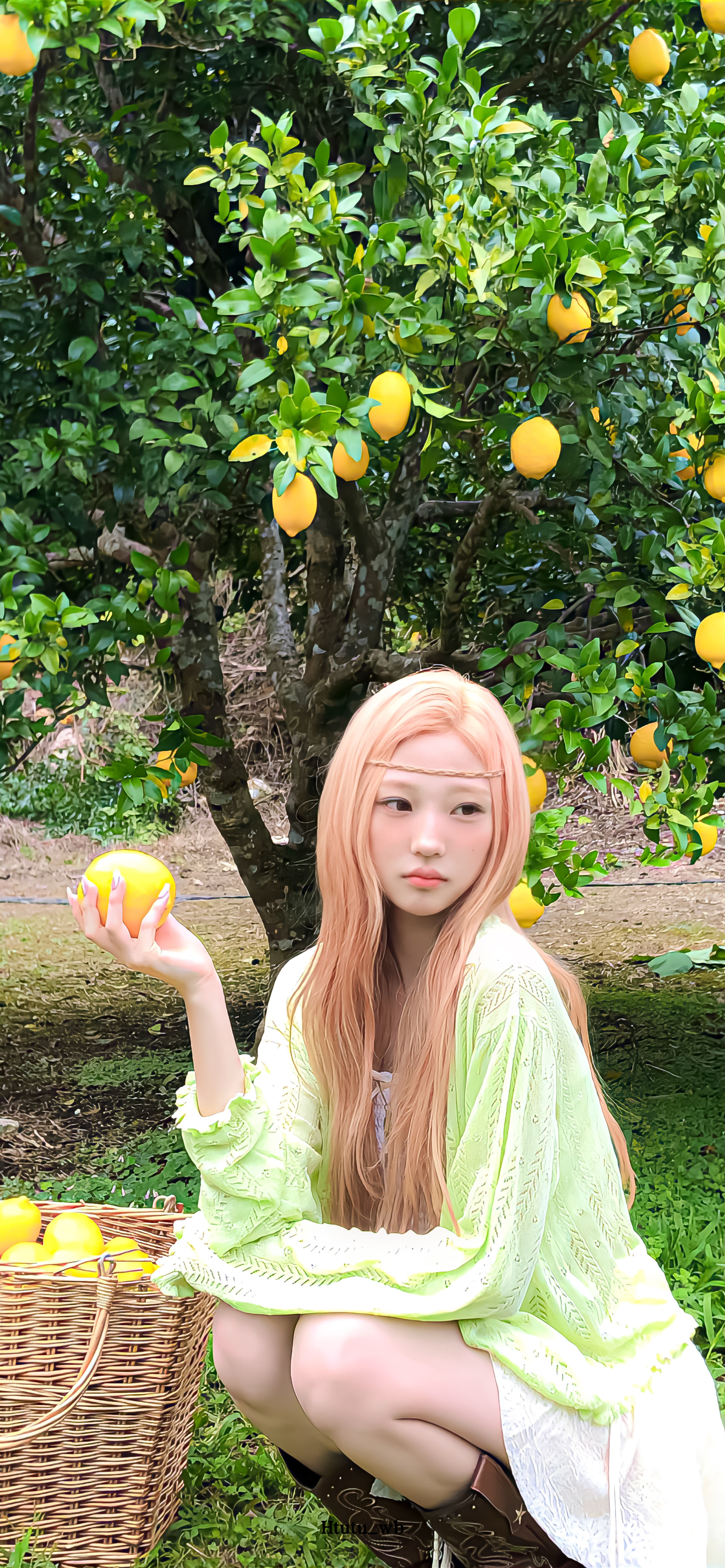 Stella金多绚壁纸来啦～🍋🍓🍧 