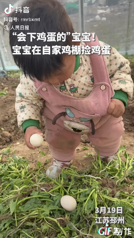 “1岁半宝宝上人民日报了！”近日江苏邳州，一个1岁半的萌娃在自家鸡棚里忙活捡鸡蛋