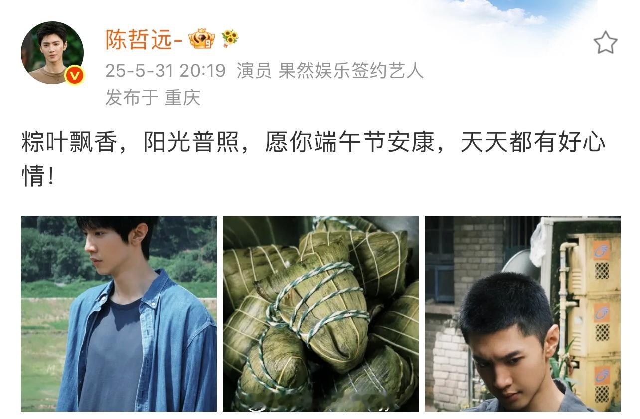 哥哥今天吃粽子了吗……甜粽，咸粽，肉粽，㊗️端午安康端午节网络中国节京彩中国节