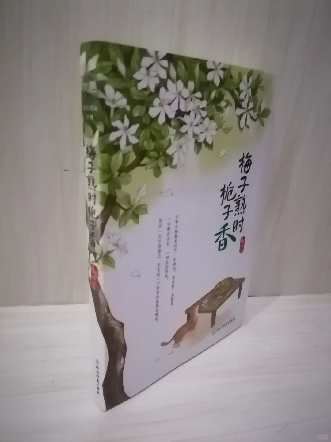 肖复兴的散文世界，感悟生活的细微与伟大