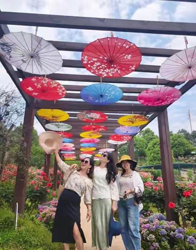 说实话，去怀化之前，我一直觉得它就是个“路过的地方”。

朋友问我五一去哪，我说