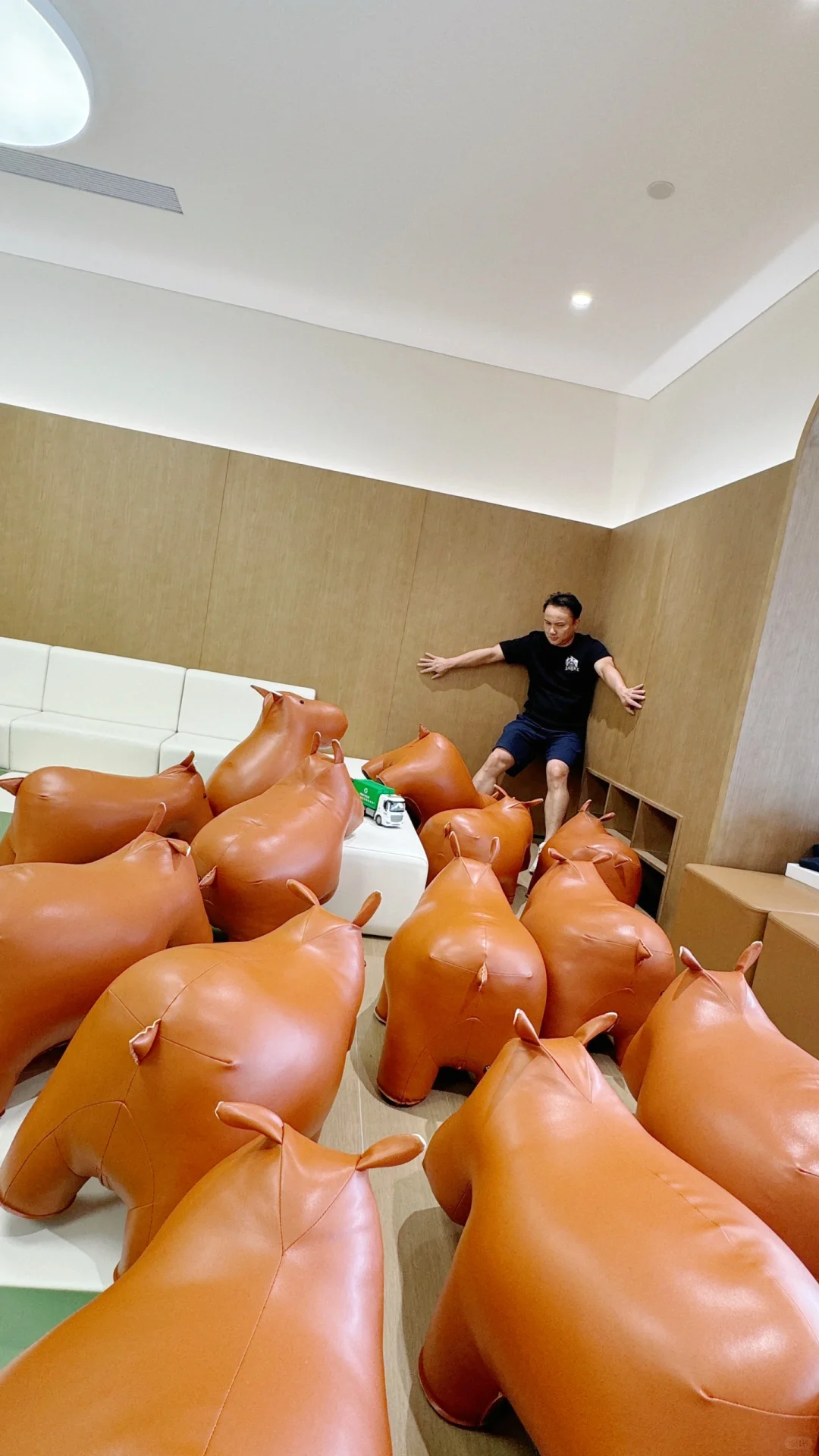 全广州的理想河马都在这了