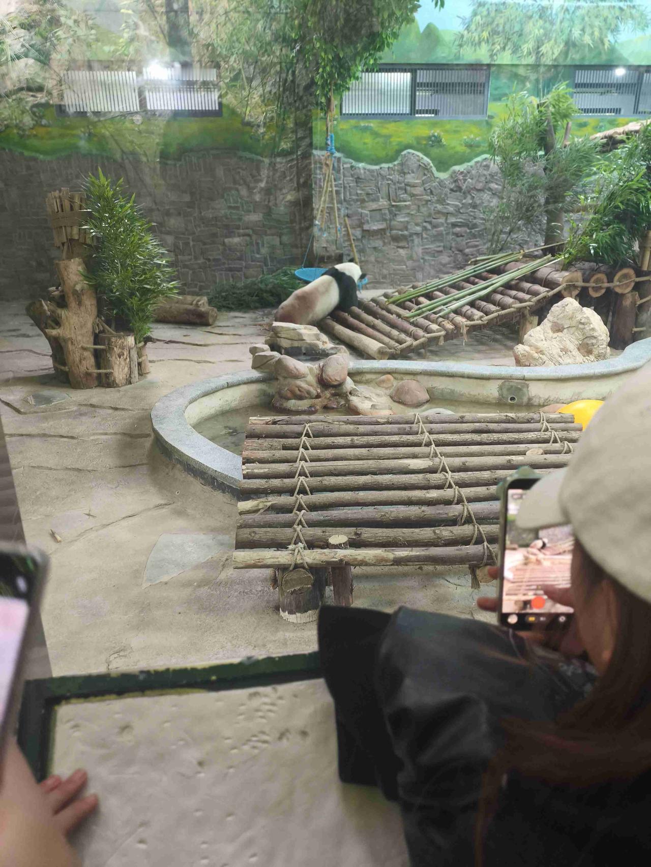 我的今日状态：😎自信酷炫
我这里的天气：🌤️多云