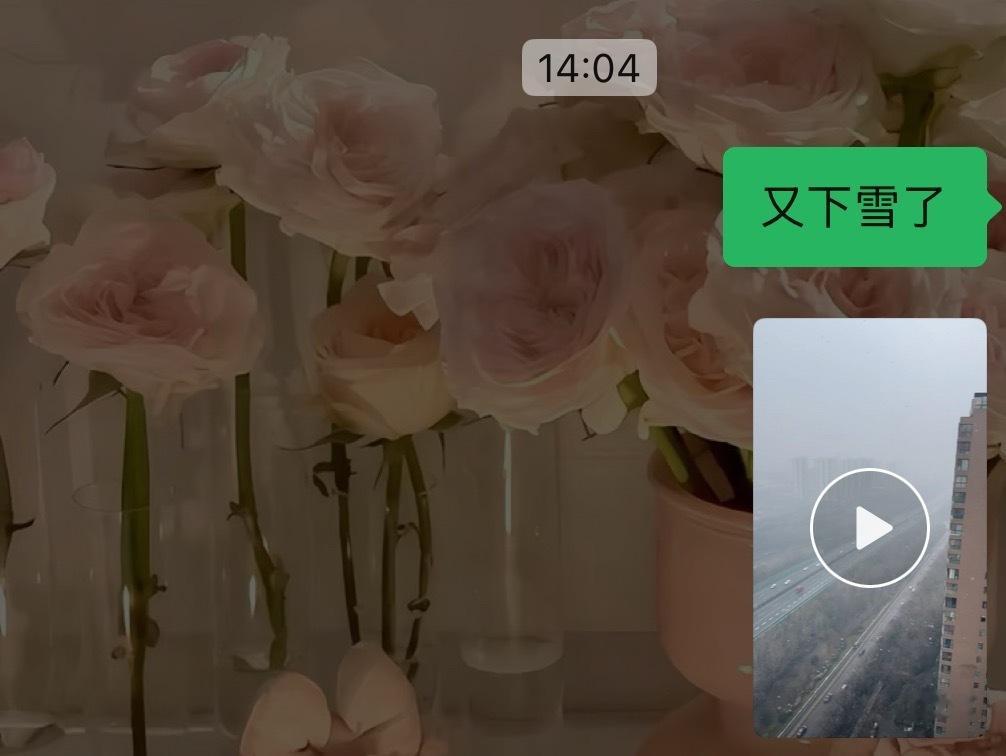 宝宝老公永远心有灵犀🐽🫶🏻☺️🎆❄️ 