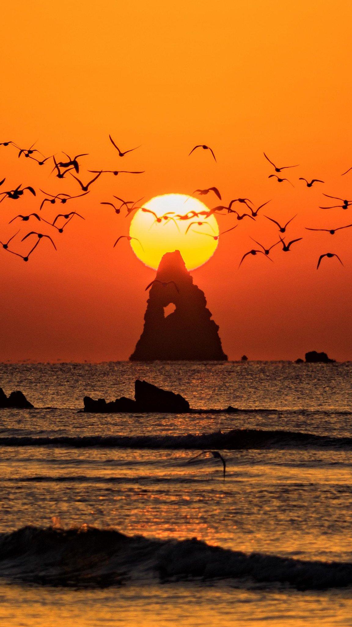 这是真理的检验标准：任何使你在身体上、智性上和灵性上虚弱的东西，都要斥之为毒药，