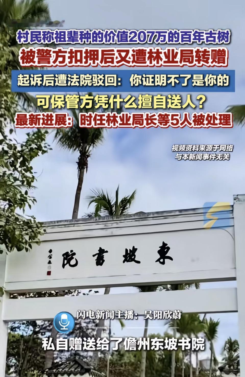 海南白沙村民家祖辈种的百年重阳古树，估值207万，2010年夜里被盗挖，报警后警