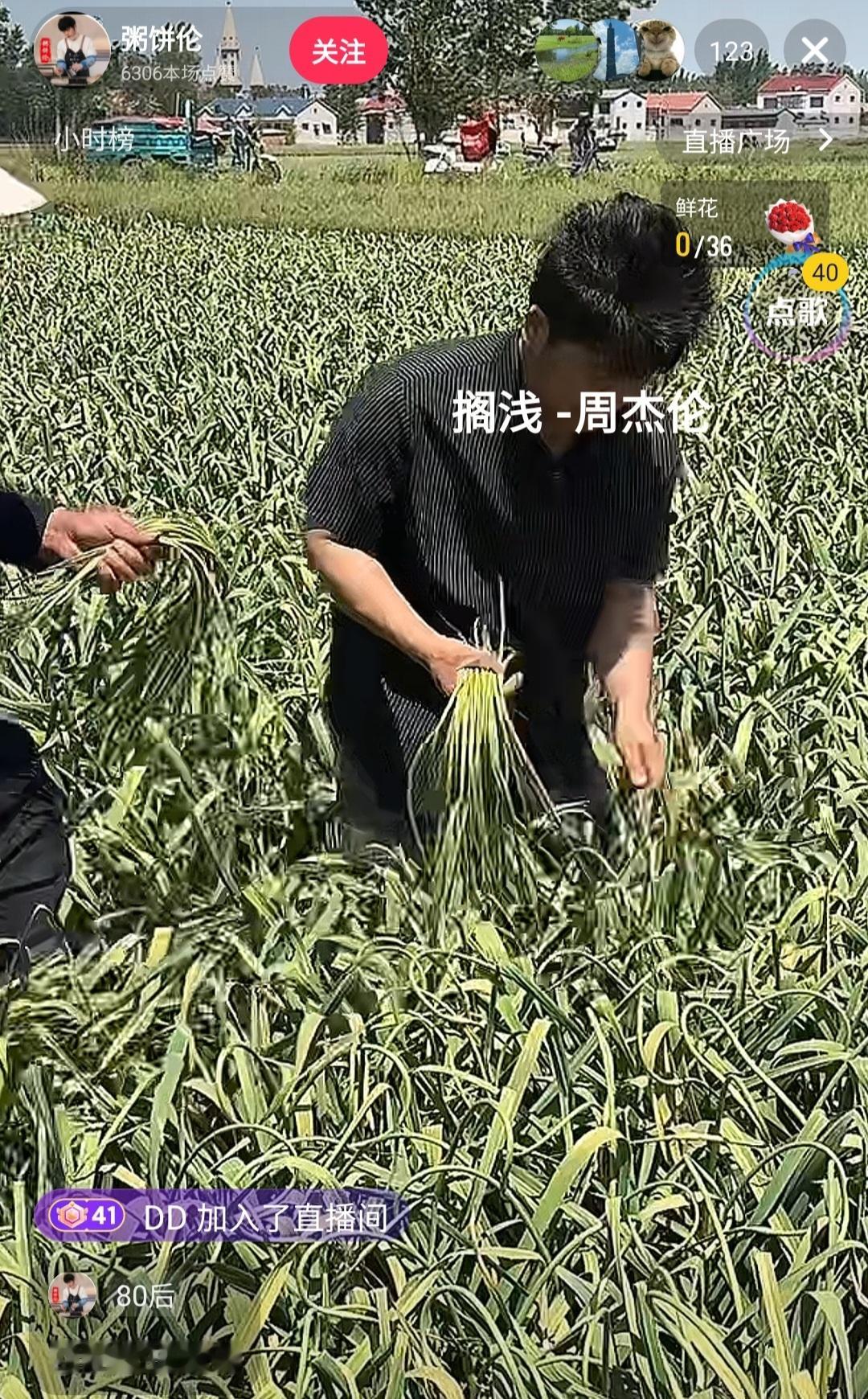 【粥饼伦回老家拔蒜薹了】5月9日，网红“粥饼伦”开启直播。直播显示，“粥饼伦”也