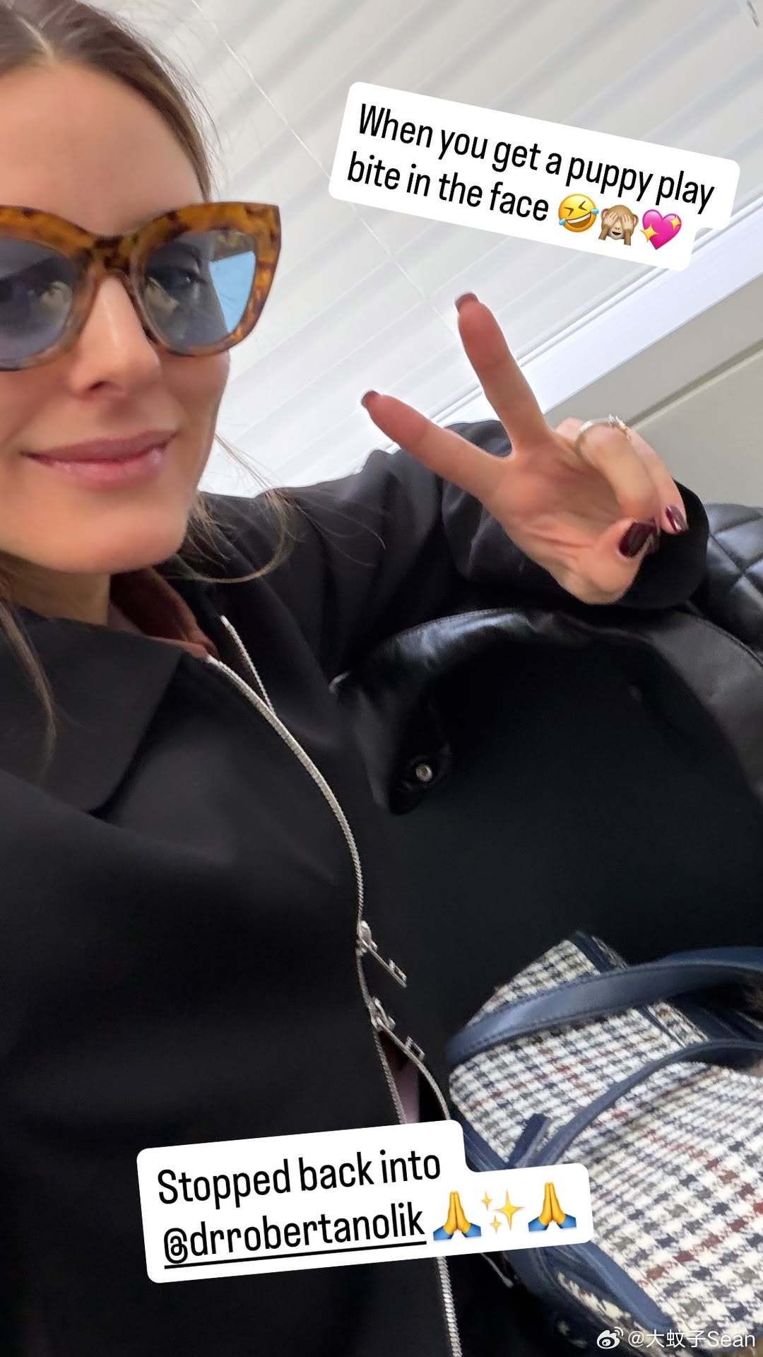 Olivia Palermo奥利维亚巴勒莫的新狗狗Tong Tong到家没多久就