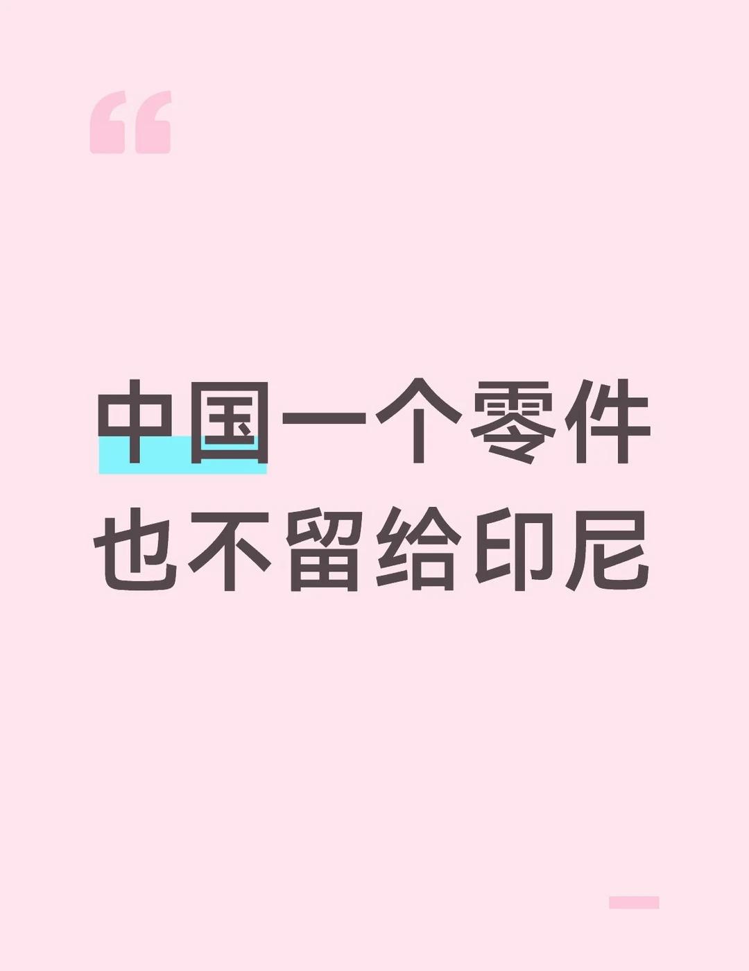 合作共输！
最近议论纷纷的中国投资印尼的镍矿开采产业链遭遇杀猪盘，印尼学习印度先