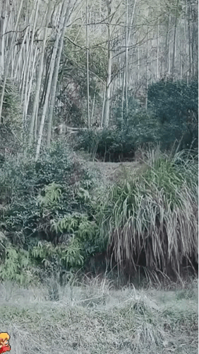 图一：马儿：我次奥的！你们还讲不讲道理了！吃饭了都不叫我！几个意思啊？
图二：有