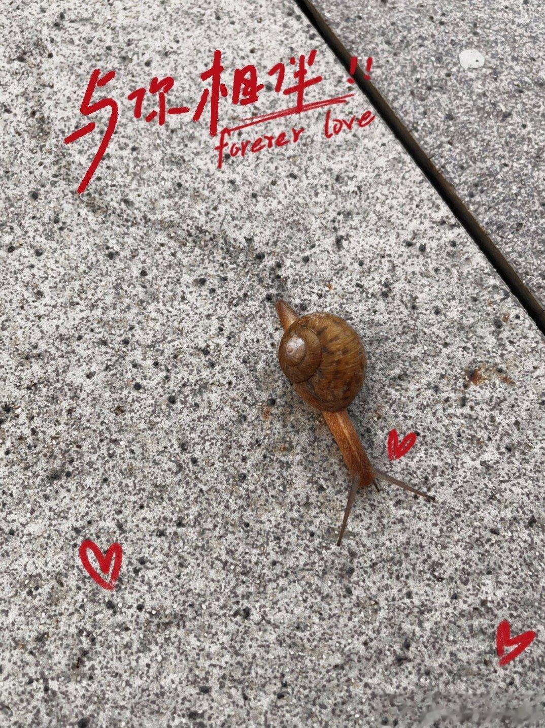 人生是一场时间的旅行#早安# [太阳]#房子给人特别干净舒服的感觉# ​​​