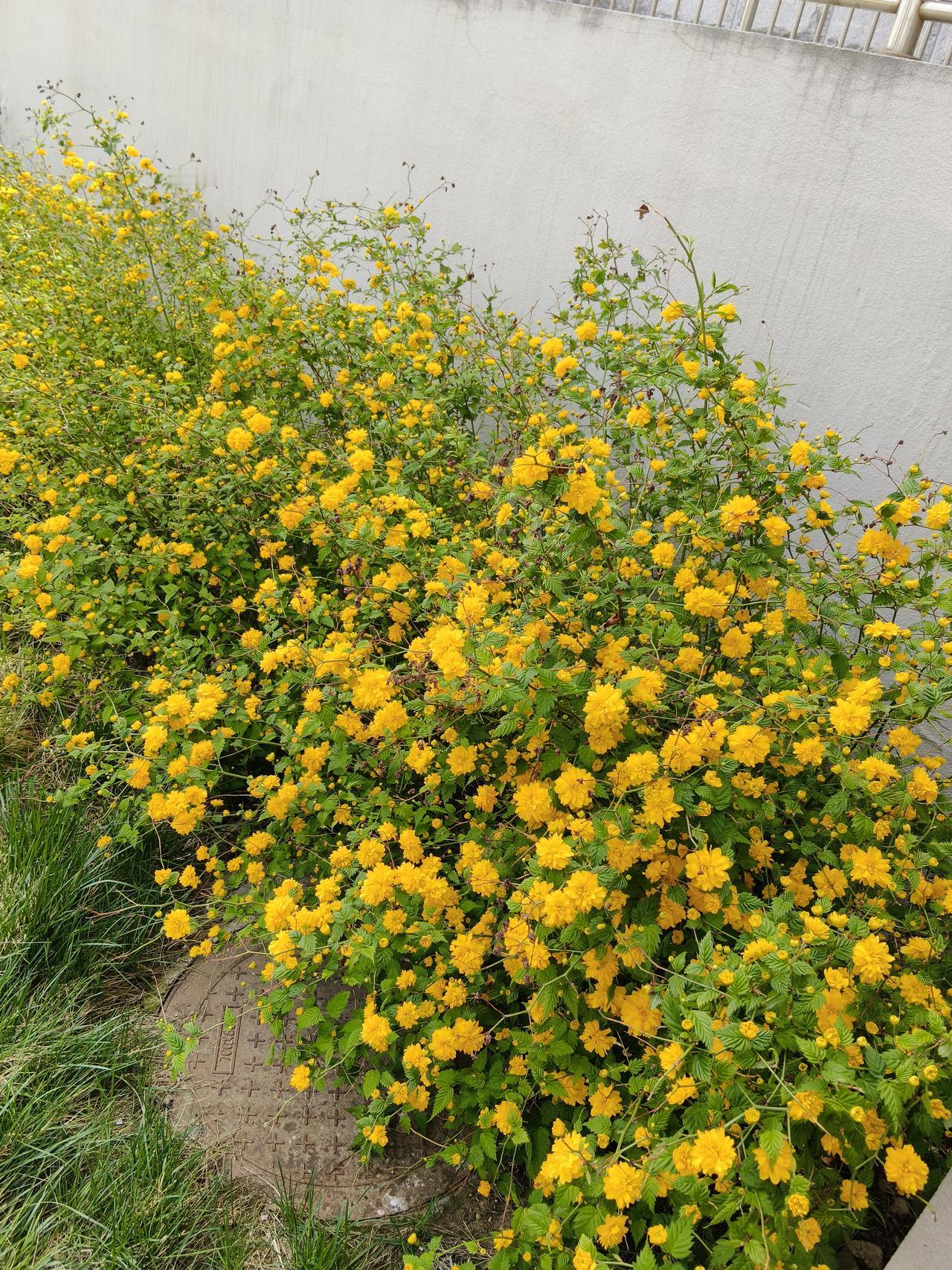 千年不变的习俗


唐朝与大食的怛逻斯之战后，唐军书记官杜环不幸被俘，然后被带到