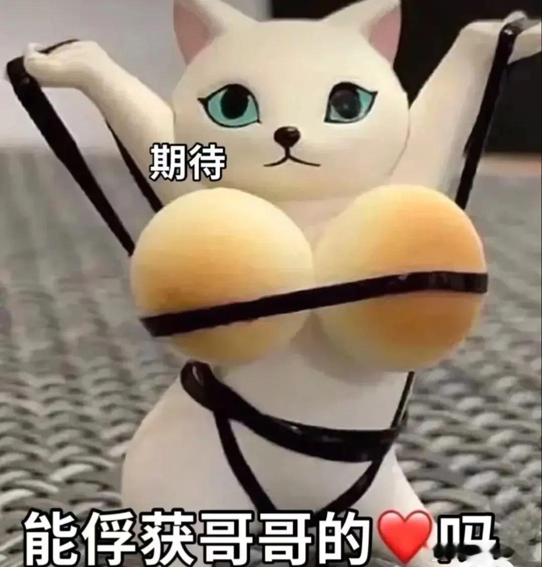 某人回来了 我要去随侍左右就 