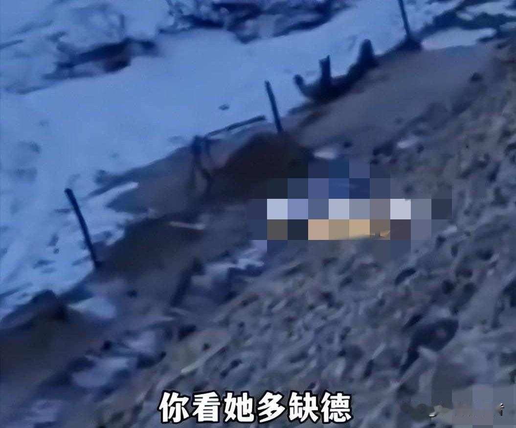 越野碾碎牧民生计，富婆狂言触底线，监控锁致命威胁

雪粒子砸在脸上，老郑蹲在羊圈