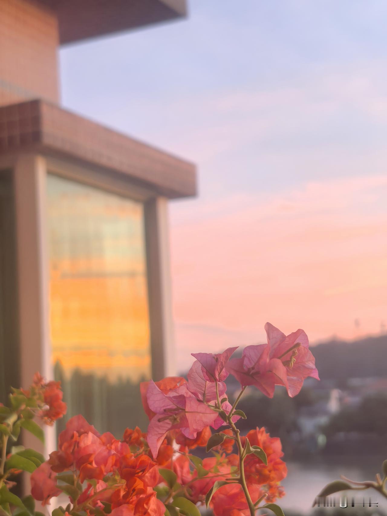 如果半夜里被蚊子吵醒，你会起来打它吗？昨晚被一只蚊子嗡嗡嗡吵醒，导致一夜无眠。在