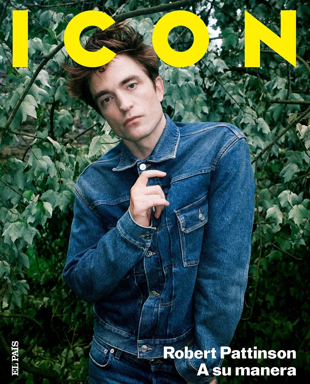 罗伯特·帕丁森说想演普通人罗帕接受《ICON》杂志采访表示，“我曾经一度很想演一