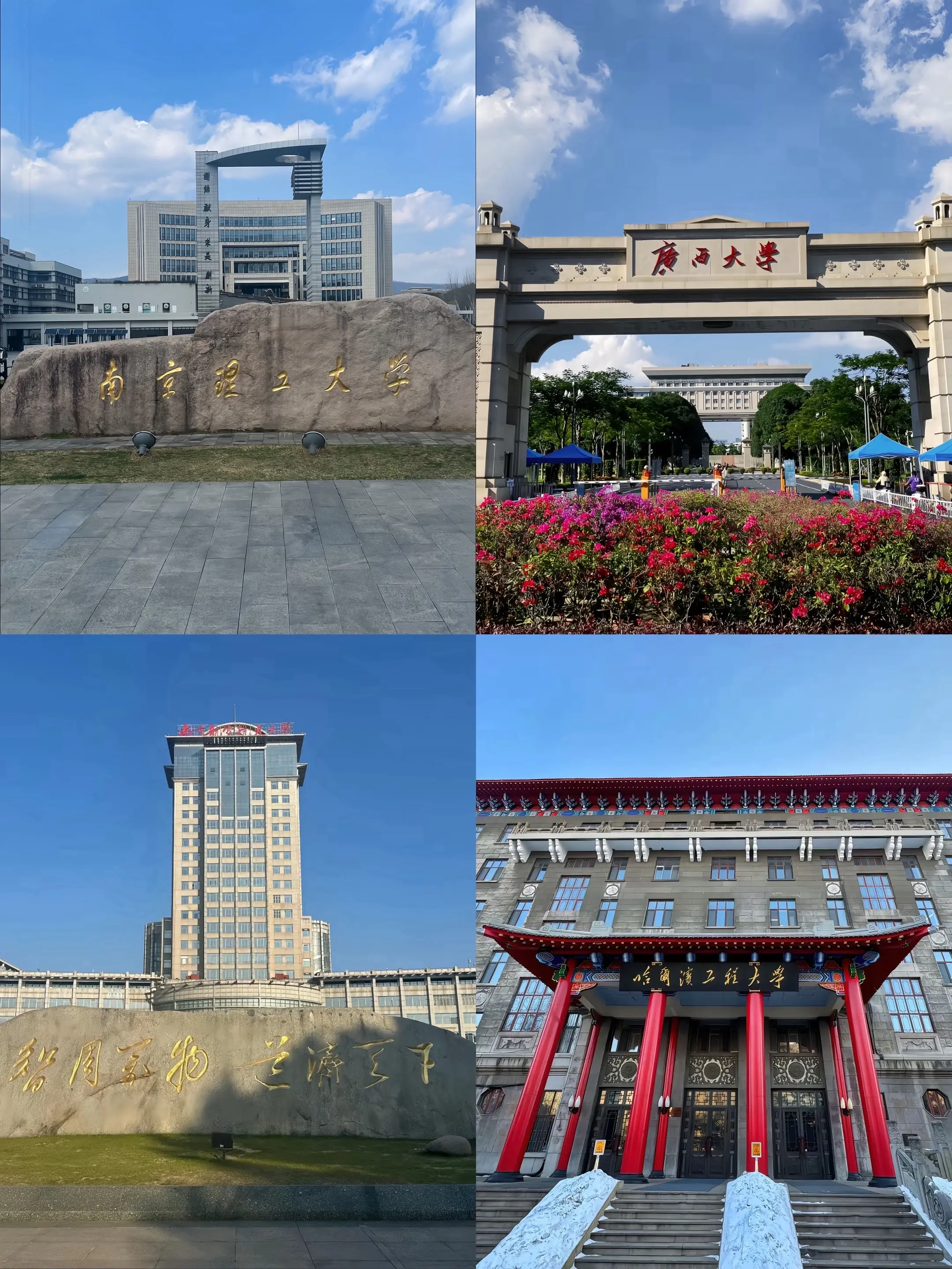 “双非露头就秒”