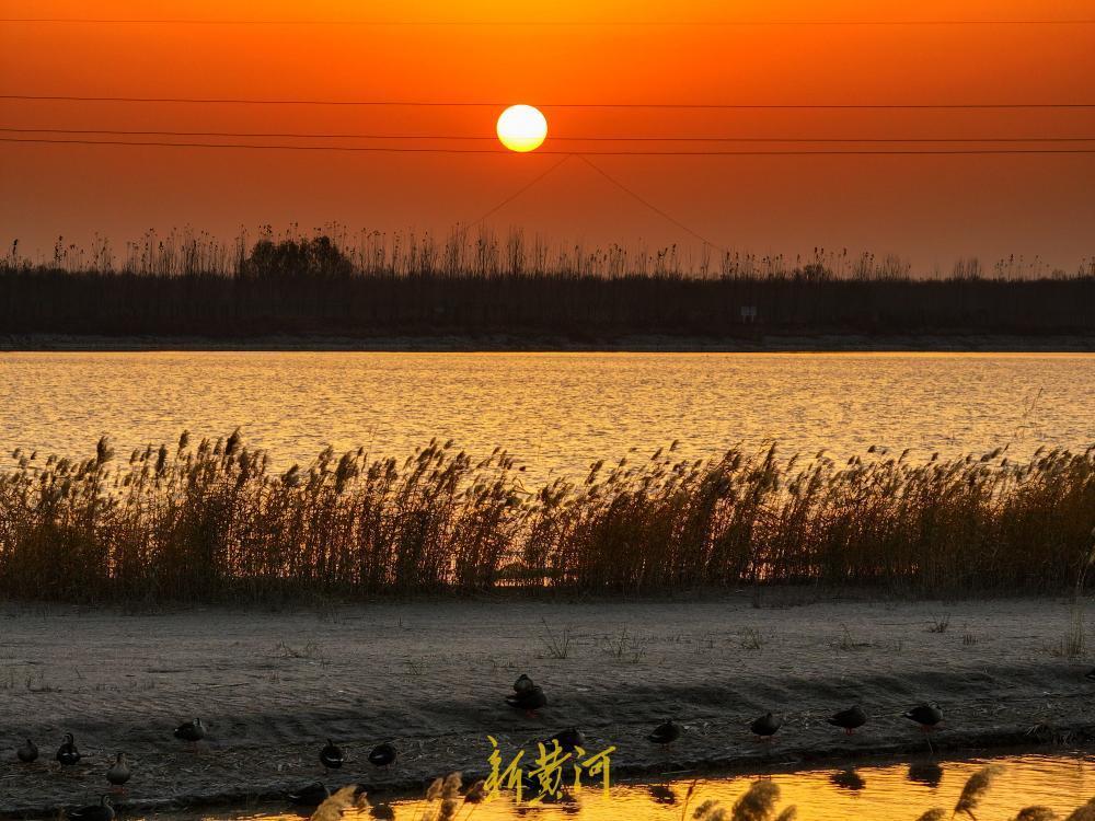 3月25日，春和景明，济南玉清湖沉沙池湿地呈现出一派生机盎然的生态景象。在芦苇掩