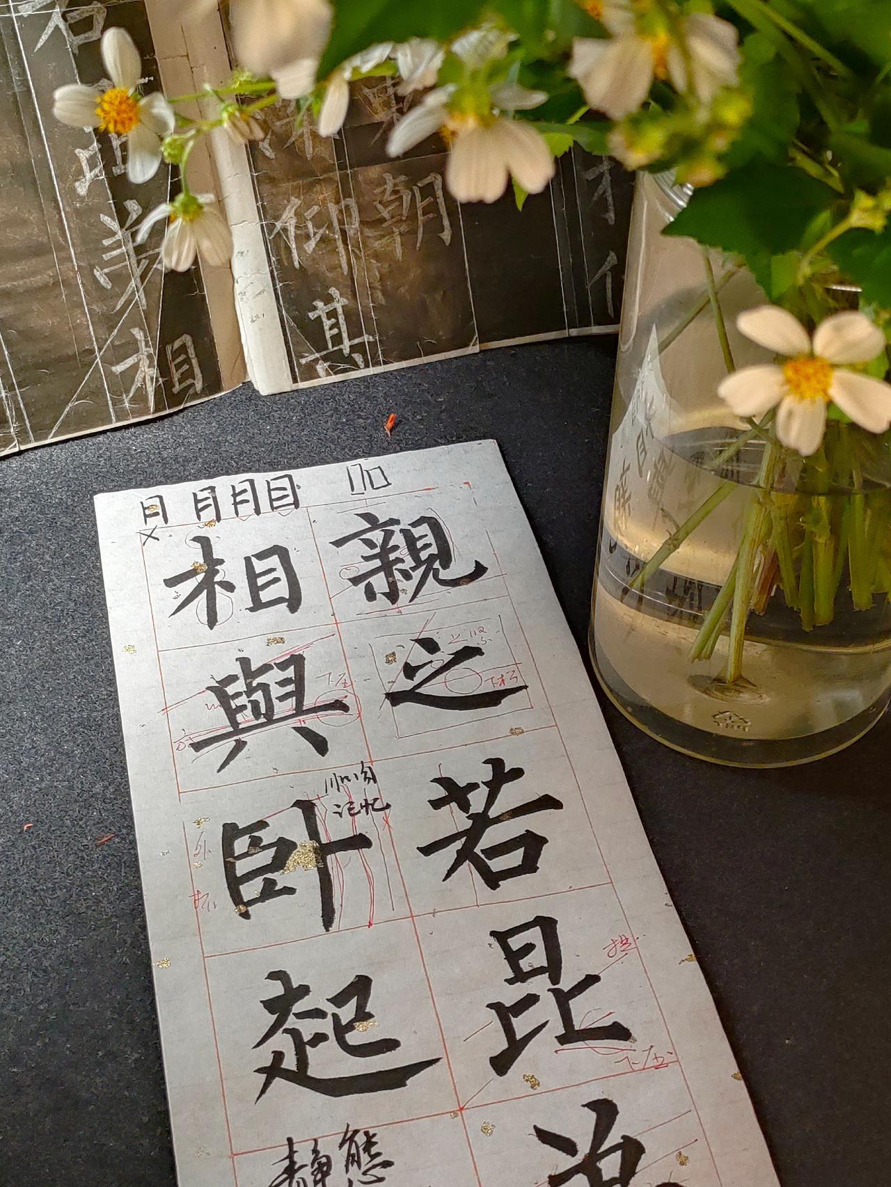 @DOU+小助手
